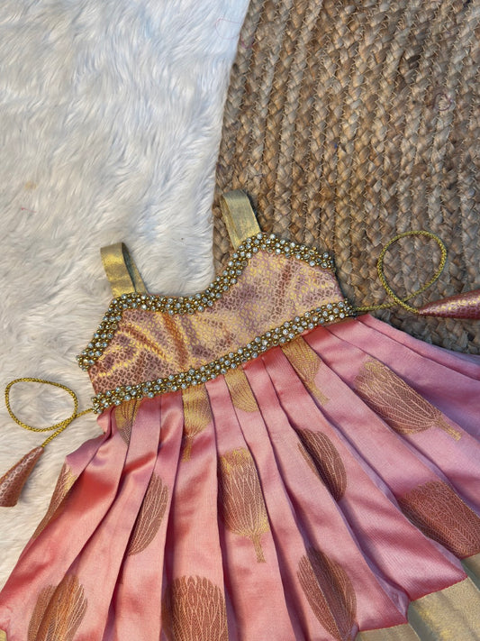 Pastel Banarasi Silk Sleeveless Pattu Gown | CPM_0577